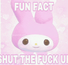 a picture of a pink bunny with the words fun fact shut the fuck up on it