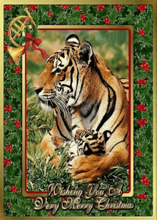 a christmas card with a tiger and cub wishing you a merry christmas