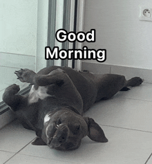 a dog is laying on its back with the words good morning written above it