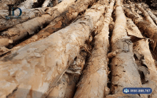 a bunch of logs are stacked on top of each other with a phone number in blue