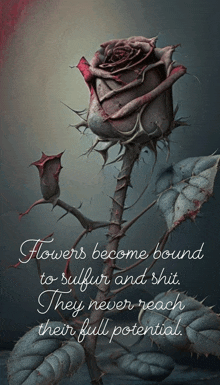 flowers become bound to sulfur and shit and never reach their full potential