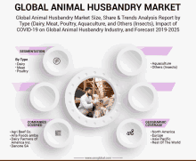 a poster titled global animal husbandry market