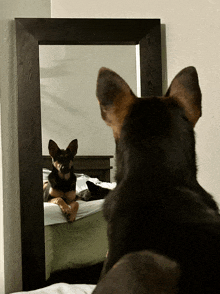 a dog looking at its reflection in a mirror on a bed