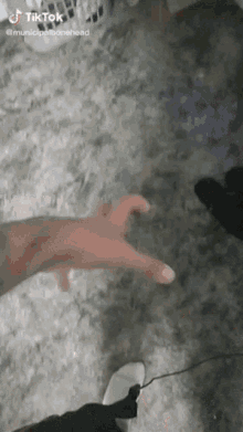a person 's hand is shown in a tiktok video taken by municipalbonehead