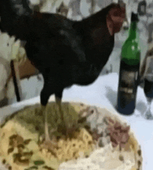 a chicken standing on top of a pizza with a bottle of wine in the background