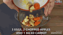 a blender filled with chopped apples and diced carrots