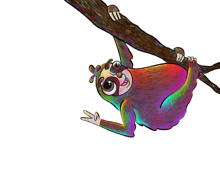 a colorful sloth hanging from a tree branch