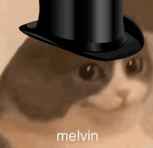 a cat wearing a top hat with the name melvin on the bottom right