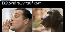 Adonispithikos Meme