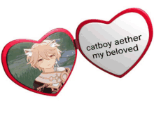 a picture of a catboy aether my beloved