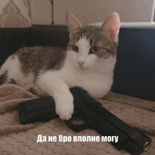 a cat laying on a couch holding a gun with a caption in a foreign language