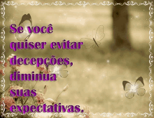 a picture of flowers and butterflies with the words se voce quiser evitar decepcoes dimina suas expectativas