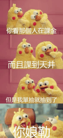 a group of stuffed birds with chinese writing on the bottom