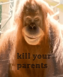 a picture of an orangutan with the words " kill your parents " on the bottom