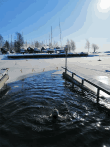 a person swimming in a body of water with a sign that says ' a ' on it