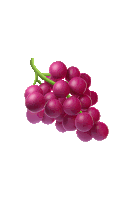 a bunch of grapes with a green stem on a white background