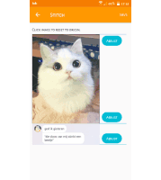 a screenshot of an app called stitch with a white cat