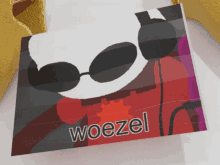 a picture of a cartoon character with the word woezel written on it