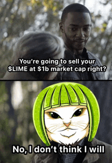 a cat with green hair is talking to a man