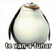 a penguin with the words `` te van a funar '' written on it 's face .