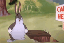 Chonk Big Chungus Meme