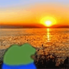 a frog is sitting on a beach watching the sun set over the ocean .