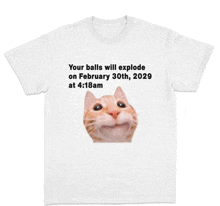 a t-shirt that says your balls will explode on february 30th at 4:18 am