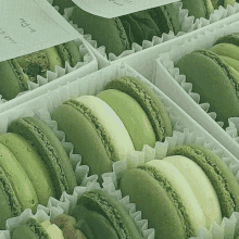 several boxes of green macaroons are lined up on a table