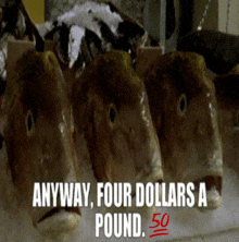 three fish heads on ice with the words anyway four dollars a pound 50