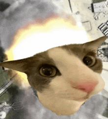 a cat is wearing a white hat with a flame coming out of it