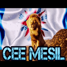 a lion is standing in front of a flag that says cee mesl