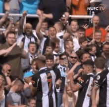 a group of soccer players are celebrating in front of a crowd .