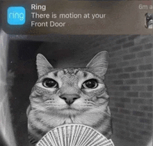 a cat is holding a stack of playing cards and a ring notification says there is motion at your front door