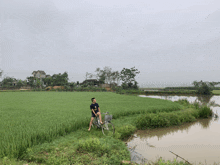 a man sits on a bike in a field