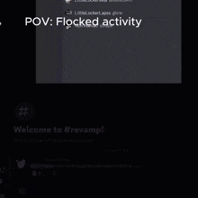 a screenshot of a discord channel with the words pov : flocked activity