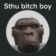 a picture of a gorilla in a circle with the words sthu bitch boy below it