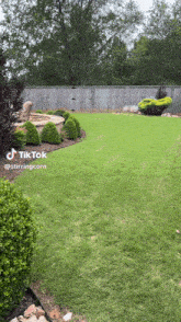 a tiktok video shows a lush green yard