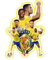 a group of soccer players are standing in front of a crest that says ariya on it