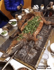 a large crocodile is being cooked on a grill at a table .