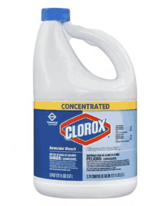 a bottle of concentrated clorox germicide bleach on a white background