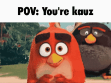 two angry birds are standing next to each other with the words pov : you 're kauz above them