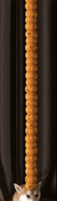 a cat is standing next to a very tall stack of doughnuts