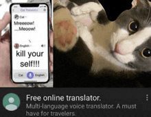 a person holding a cell phone next to a cat that says kill your self