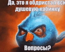 a blue angry bird with an orange beak is making a funny face with a caption in russian .