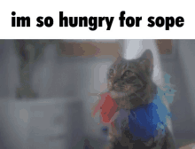 a cat with feathers around its neck and the words im so hungry for sope