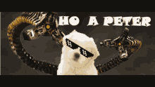 a white dog wearing sunglasses with the words ho a peter behind it