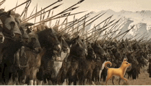 a dog is standing in front of a large army of horses with spears