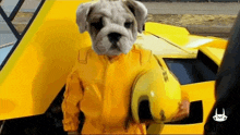 a dog is wearing a yellow suit and holding a helmet .