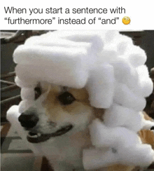 a dog is wearing a wig made of white foam blocks