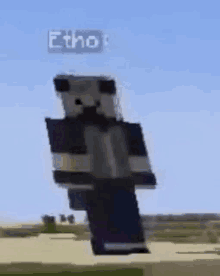 a close up of a minecraft character standing in a field .